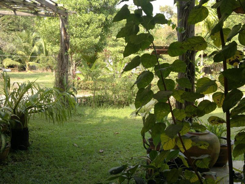 The Mangrove Hideaway Kohchang Koh Chang Buitenkant foto