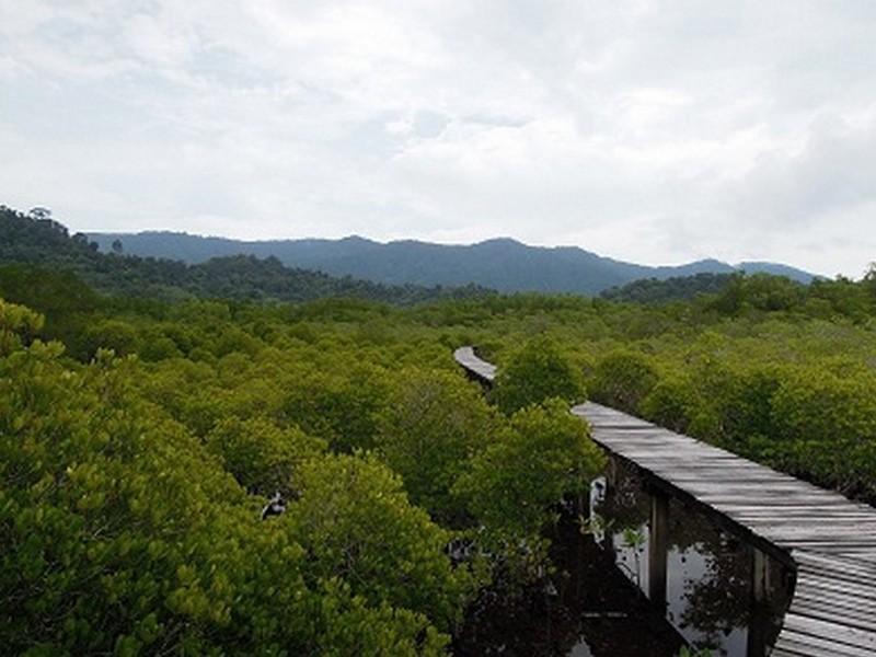 The Mangrove Hideaway Kohchang Koh Chang Buitenkant foto